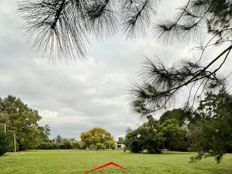 VENTA DE TERRENO EN SAN DIEGO MORENO