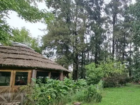 El Buceo entre Beruti y Machado
