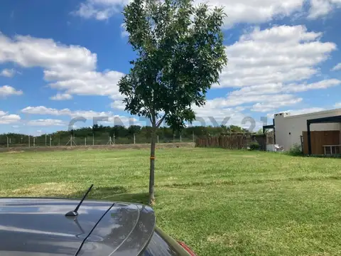 Terreno en Venta en Loma Verde, USD 15.000