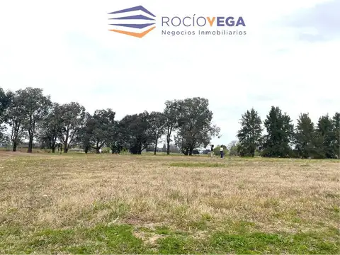 Terreno en Venta 40  mts Frente