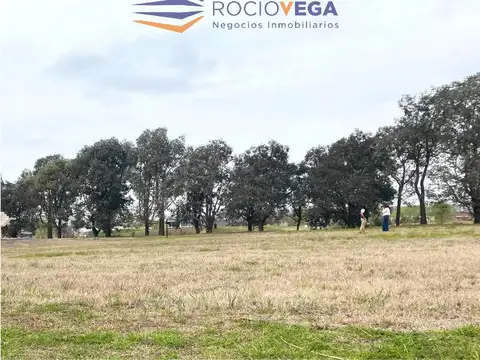 Terreno en Venta 50  mts Fondo