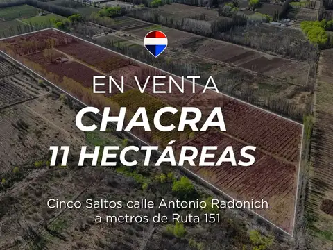 CHACRA PRODUCTIVA DE 11,1 HTAS | CINCO SALTOS 