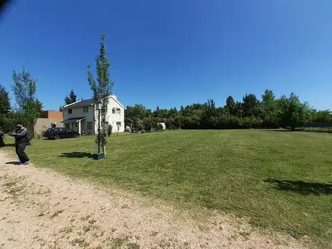 Brugheti