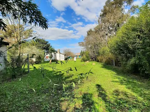 Terreno en Venta 50  mts Fondo