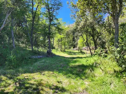 Terreno venta 2800mts 2 totales- Villa La Angostura