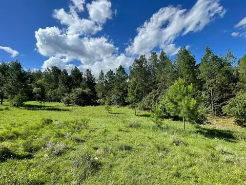 RP S271, San Clemente, Córdoba