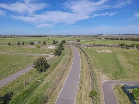 Terreno en Venta 41  mts Fondo