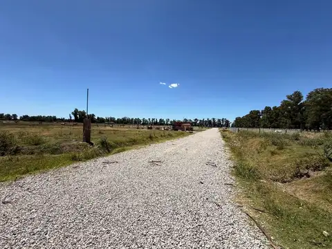 Los Eucaliptos S/N