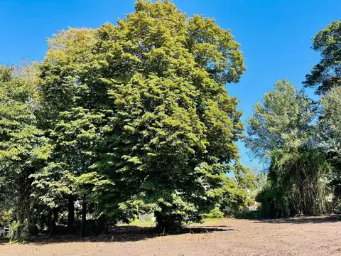 TERRENO EN VENTA