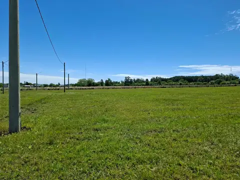 Terreno en Venta de 1001,0 m2