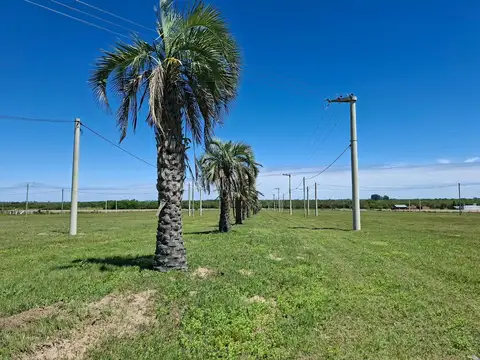 Terreno en Venta en Colonia Carolina, USD 11.000