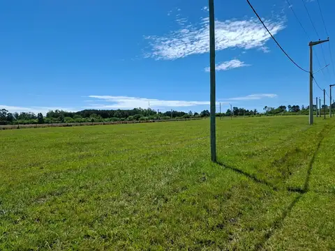 Venta de 3 lotes de terreno en Arandú, Carolina