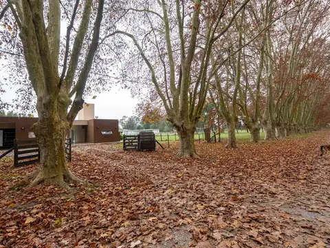 Casa en Venta con 1 cochera