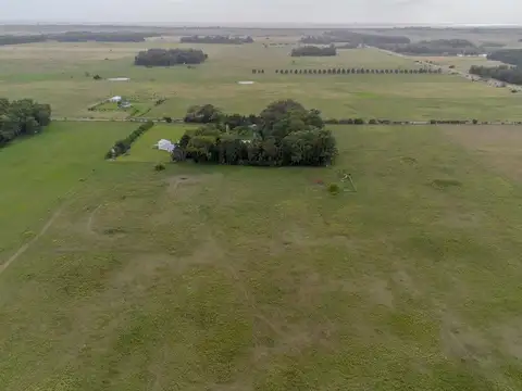 CAMPO HÉCTAREAS EN VENTA EN PUNTA INDIO