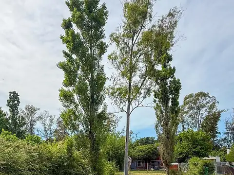 GENERAL HORNOS 1850 E/ LOS OLMOS Y AZTECA 1800