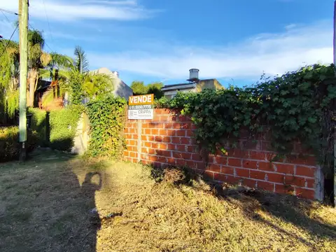 Terreno en Venta de 300,0 m2