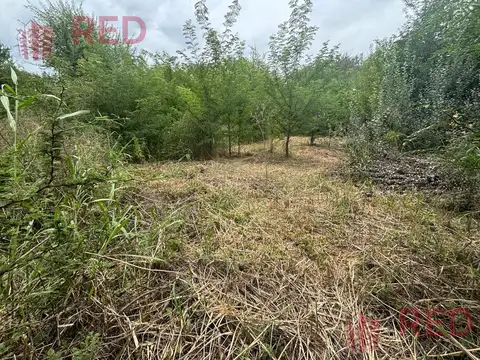 Terreno en Venta 10  mts Frente