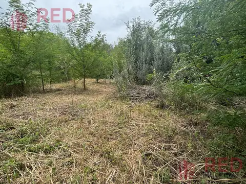 Terreno en Venta 50  mts Fondo