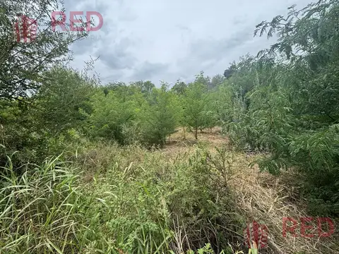 Terreno en Venta de 533,0 m2