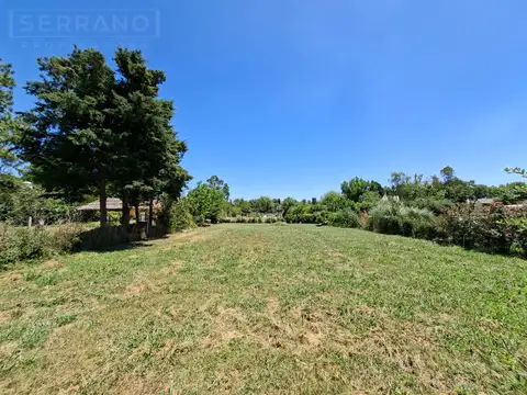 VENTA TERRENO, de 730 m2 con mejoras, calle C.C.Vigil al 500, Parque Sakura, Exalt. de la Cruz