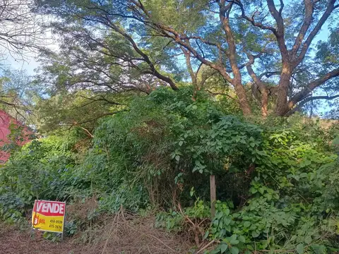 Los hermanos Monte, terrenos a metros de colectora Ruta 11