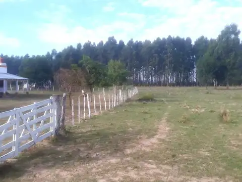 Ruta 12 Km 691