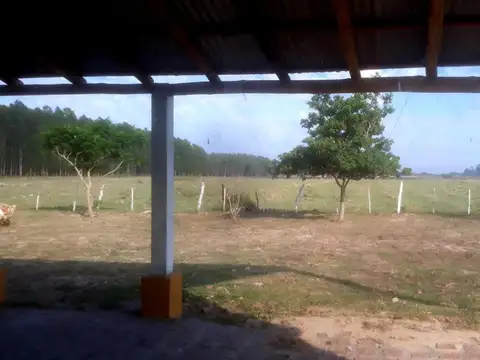 Ruta 12 Km 691