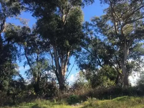 Terreno en Venta de 600,0 m2