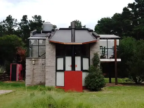 Los Pinos 100