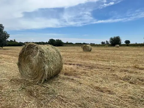 Excelente chacra con instalaciones ecuestres en Cortines, Luján