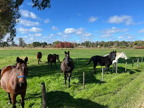 Campo en Venta de 19  ha