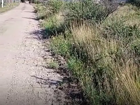 VENTA LOTE EN LOS COCOS CORDOBA