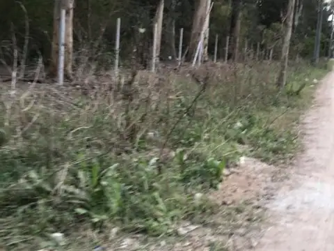 Terreno en Venta 225  mts Fondo