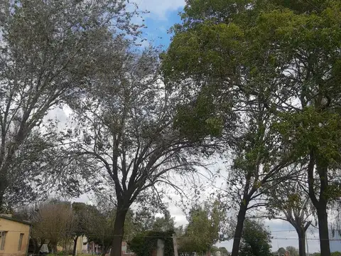 Terreno en Venta 70  mts Fondo