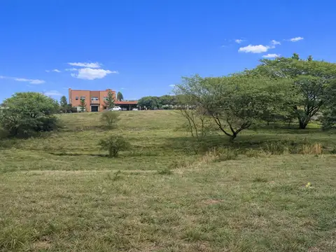 Terreno en el tipal
