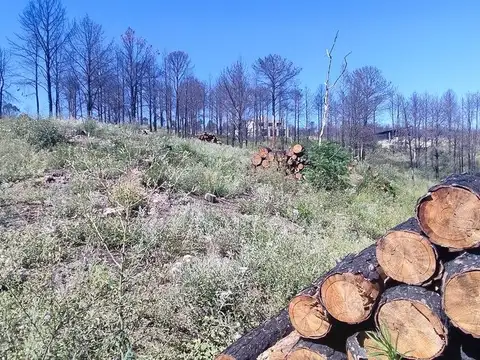 TERRENO EN VENTA VILLA DEL CONDOR POTRERO DE GARAY