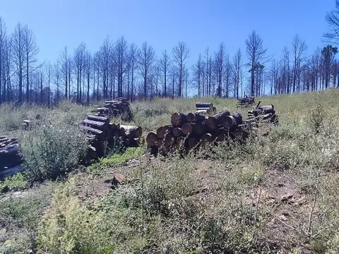 Terreno en Venta en Potrero de Garay, USD 24.000