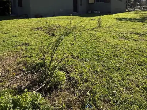 Quinta en Venta en Gowland, USD 100.000