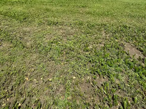 Terreno en Venta de 889,0 m2