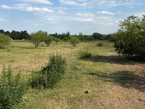 LA GRANJA CALLE LOS ALGARROBOS S/N