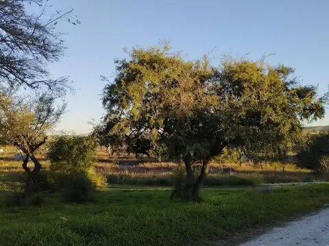 VENDOLote de 300m² en Barrio Cerrado con Seguridad Sin Costo