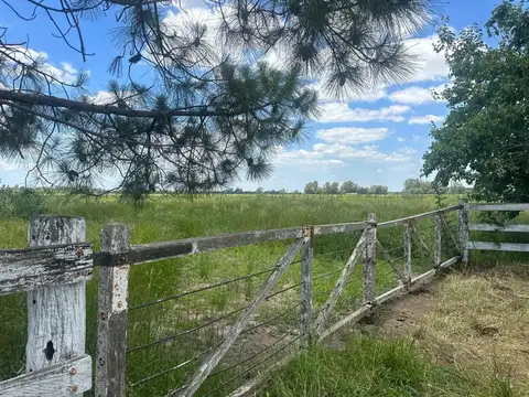 Campo en Venta Chacra