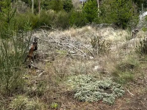 Terreno en Venta en San Martin de los Andes, USD 90.000