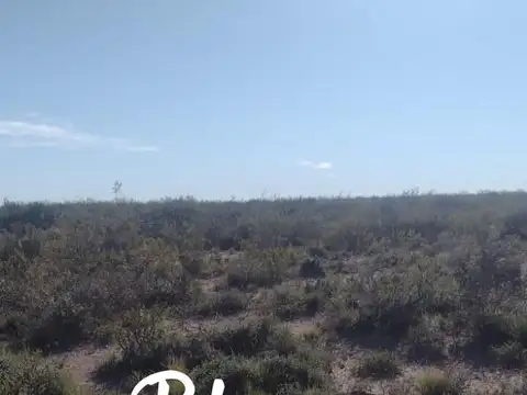 La Reforma - La Pampa -