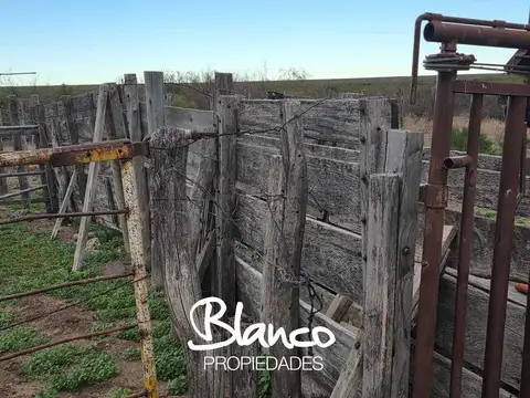 La Reforma - La Pampa -