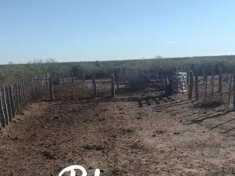 Terreno Campo  en Venta en La Pampa, Argentina
