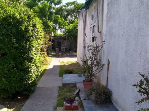 San Pedro 267