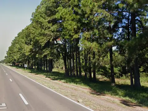 Campo en Ituzaingó