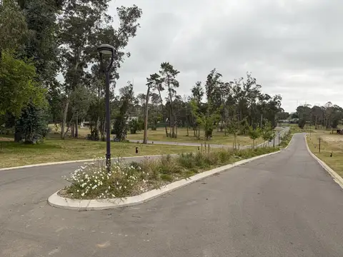 Av. Al Paso de la Cadena - Ruben Dario - La Cañada 'Lt O3