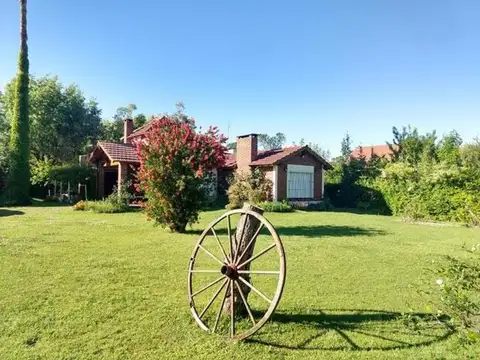 Rio Neuquen 100